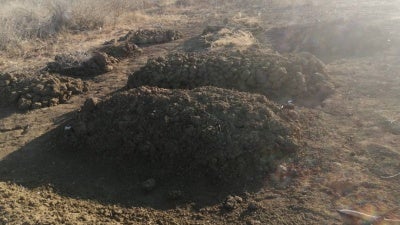 Ein Foto von Grabstätten, die die Bewohner von Tayba nach dem Angriff am 10. Januar für die Opfer der Sudan Shield Forces ausgehoben haben. Das Foto wurde von einem Bewohner von Tayba aufgenommen und geteilt und von Human Rights Watch in Tayba geolokalisiert.