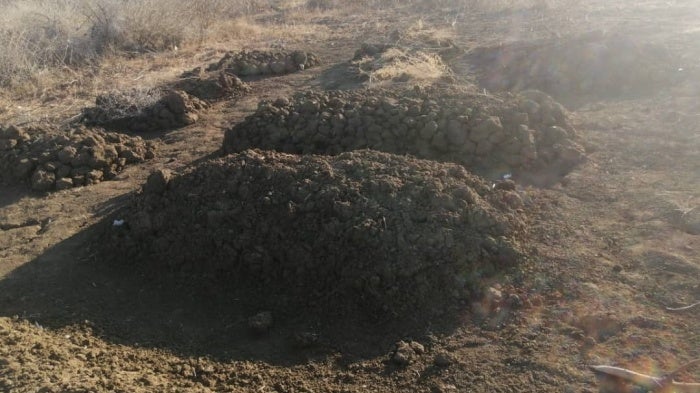 Picture of graves dug by residents of Tayba where the victims of the Sudan Shield Forces were buried after the attack on January 10. The picture was taken/shared by a resident of Tayba and geolocated by Human Rights Watch in Tayba.