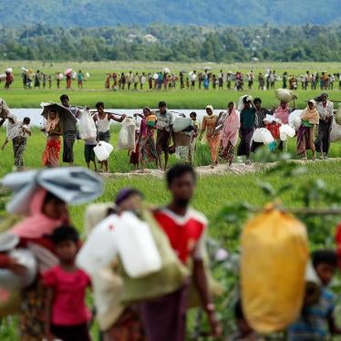 Rohingya refugees walk through rice fields after crossing the border from Myanmar into Palang Khali, Bangladesh, October 19, 2017.