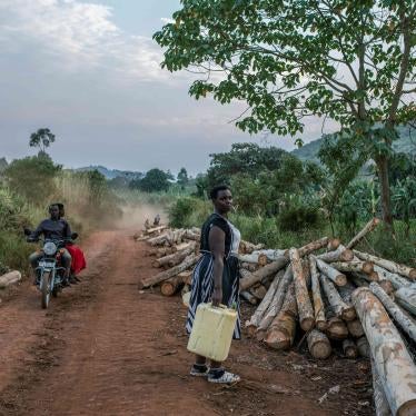 A woman stands on a dirt road next to a pile of cut-down trees