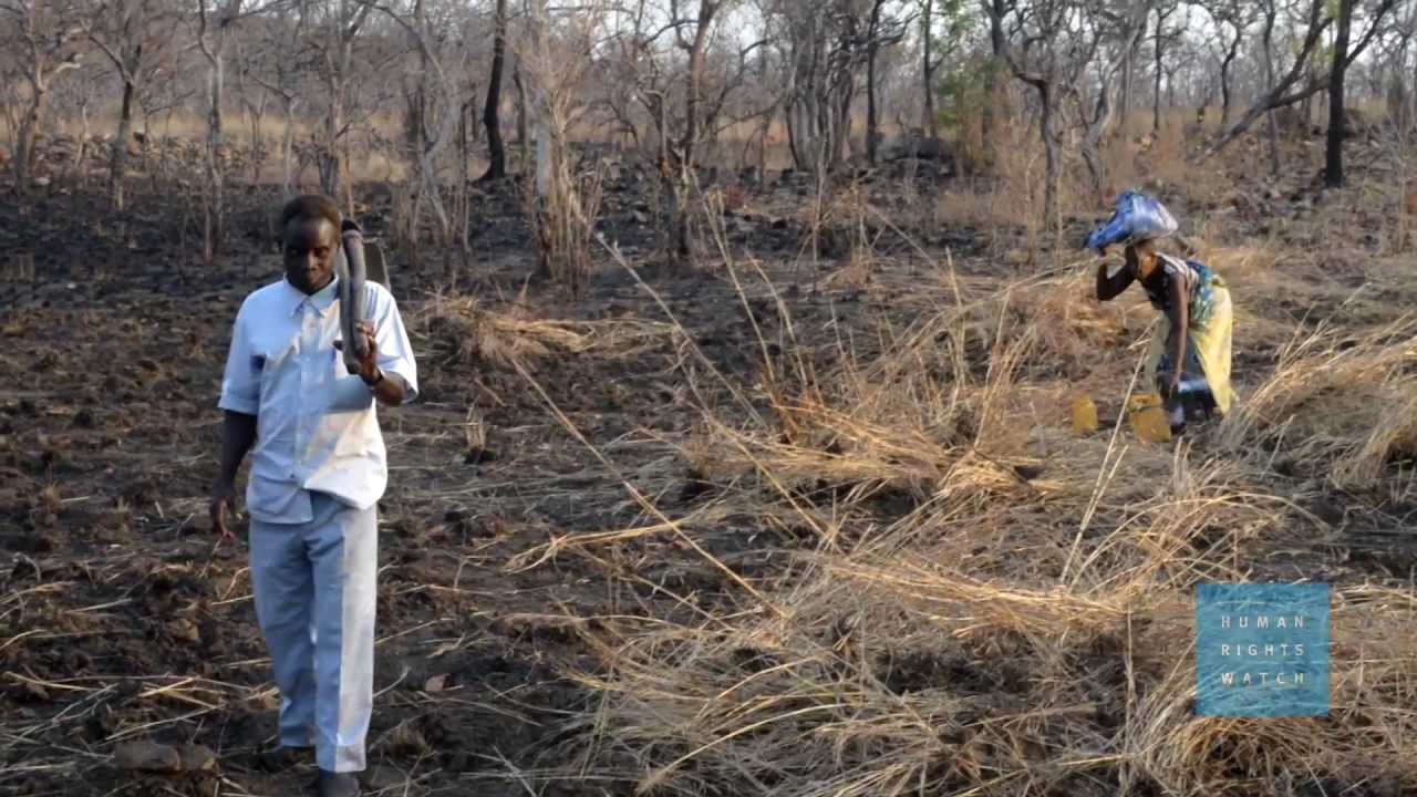 Mozambique: Protect the Rights of Farmers Resettled for Coal Mines